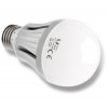 LED žarnica E27 24LED 8W - hladno bela