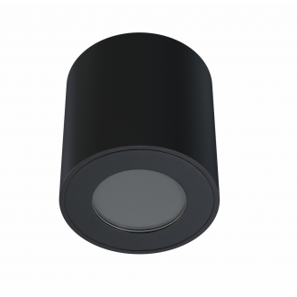 Stropna nadometna svetilka LUNA - črna IP54